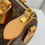 Louis Vuitton Nano speedy bag Brown